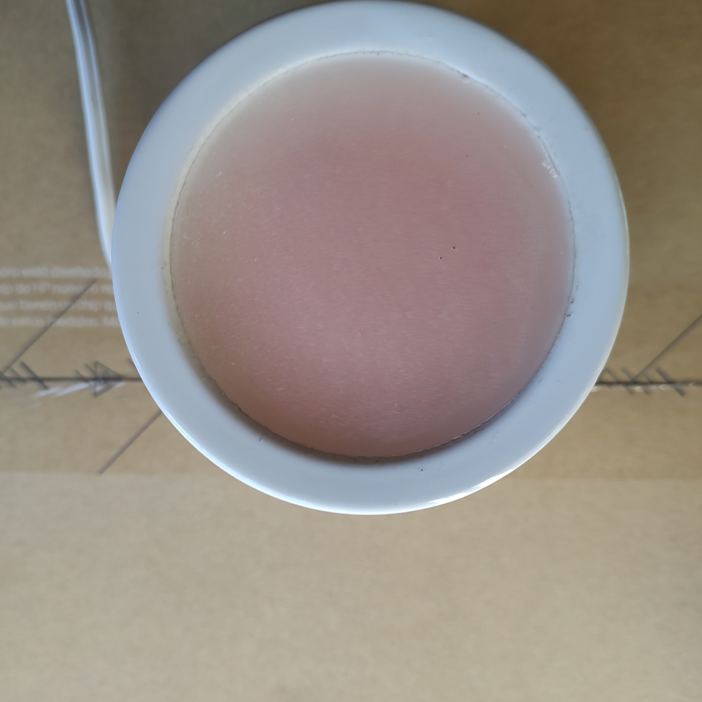 Blush Candle in Elegant White Holder